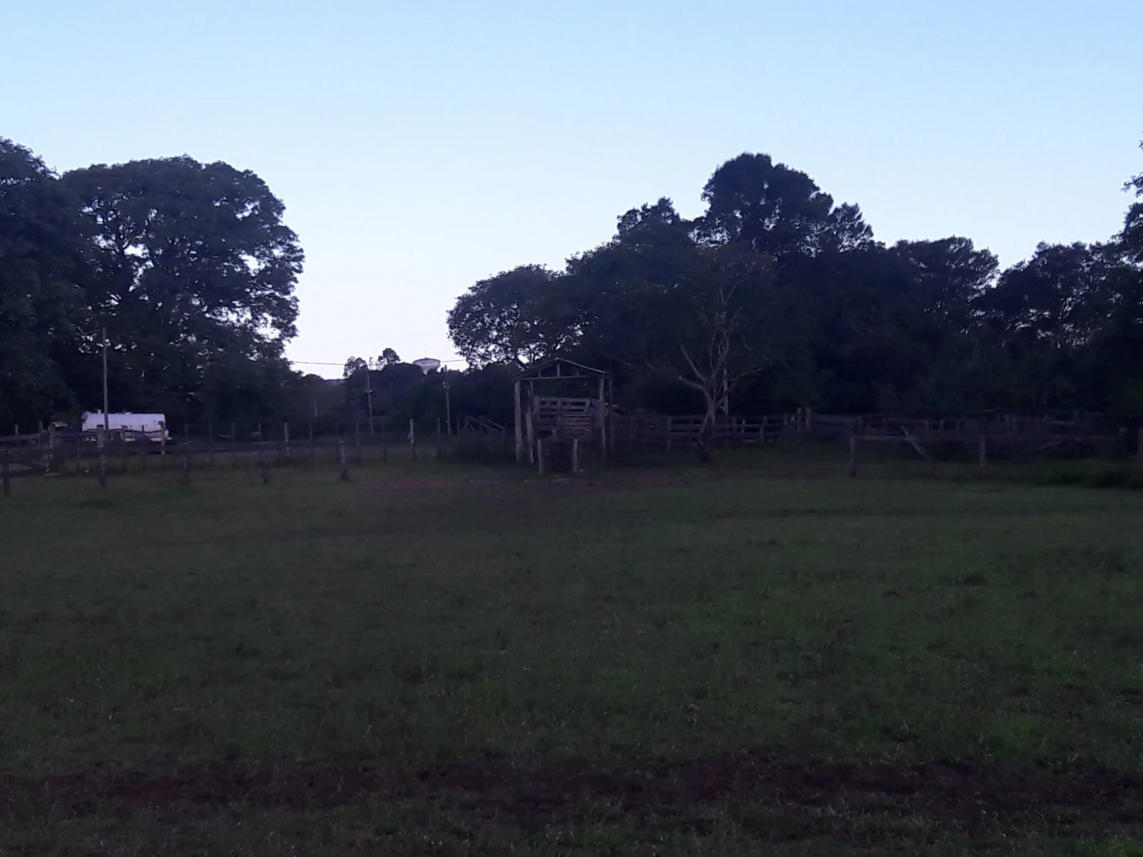 Mangueirão Icaro Ferreira da Costa